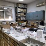 Laboratorio Estratigrafía y Paleontología (2/2)